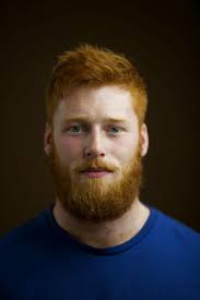 Pin On Gingers Rule