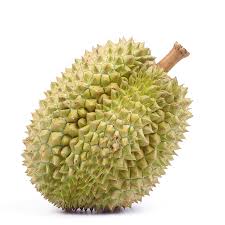 Pdf | durian is native to southeast asia where it is grown commercially. Durian Alimentarium