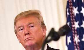 Gauging Potential Effects of Trump Policies