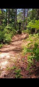 Iron Mountain Mountain Bike Trails Mountain Bike Trail, Arkadelphia,  Arkansas