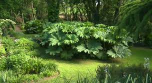 epingle sur garden