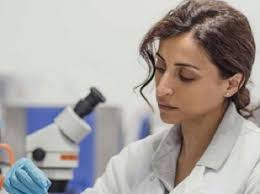 How to run a successful internship programme