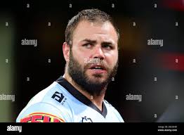 Wade graham sharks hi-res stock photography and images