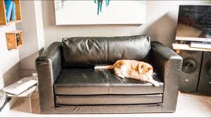 Ikea Askeby 165 Sofa Bed Part 1 Honest Review Youtube