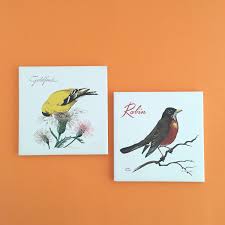 SONGBIRD TILE TRIVETS, 1970s Birds, Plant Stands, Robin Goldfinch, Hot  Plates - Etsy