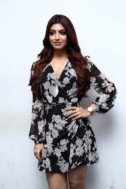 Akanksha Puri Photos At Action Movie Press Meet Girl Model Girl Actors Mini Gown