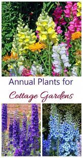 Annual Plants Last One Year But Give Lots Of Color To A Cottage Garden Snapdragons Delphiniums And Larks Annual Plants Cottage Garden Plants Flower Landscape
