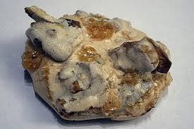 Walnuss Makronen Von Lucia Chefkoch Rezept Makronen Lebensmittel Essen Walnuss