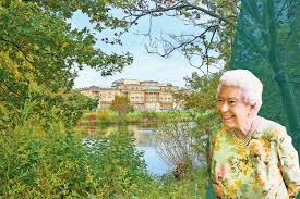 Image result for Galleon Green 1986 Buckingham PR