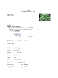 We did not find results for: De Vr Nama Umum Indonesia Pinus