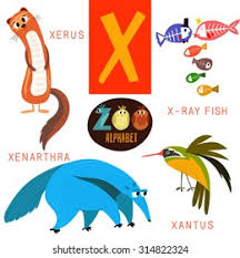 Und vieles mehr, siehe bmw.jobs/waswirbieten. Cute Zoo Alphabet Vectorx Letter Funny Stock Vector Royalty Free 314822324 Shutterstock