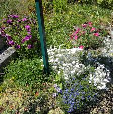 Maybe you would like to learn more about one of these? Bees