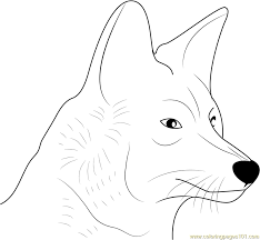 Oh, and 'coyote' has a capital i wasn't being gramatically incorrect. Coyote Face Coloring Page For Kids Free Coyote Printable Coloring Pages Online For Kids Coloringpages101 Com Coloring Pages For Kids