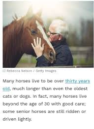 Another is 250 miles in 5 days. How Long Is An Average Equine S Life Span Quora