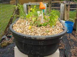 A Beginner S Guide To Aquaponics Grocycle