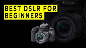 Top Ten Best Dslr Camera For Beginners 2020