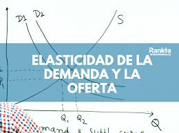 La Elasticidad De La Demanda Y La Oferta Rankia