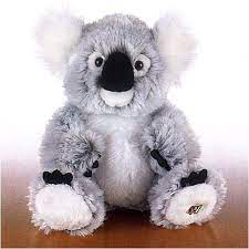 Webkinz Koala Bear Ganz Http Www Amazon Com Dp B000rkni5w Ref Cm Sw R Pi Dp Lc2mtb146a7csevq Webkinz Webkinz Stuffed Animals Koala Bear Plush