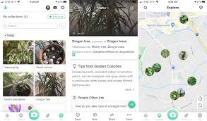 We did not find results for: The Best Flower And Plant Identifier Apps For Iphone