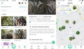 How to identify flowers with iphone. The Best Flower And Plant Identifier Apps For Iphone