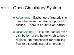 Animal Systems Feeding And Digestion Chapter Ppt Download