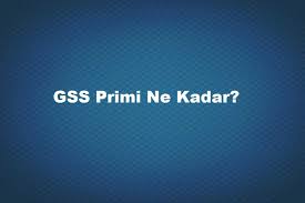 Genel Saglik Sigortasi Ne Kadar 2020 Sgk Bilgisi