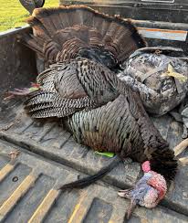 Picked the wrong spot yesterday... | The HuntingPA.com Outdoor Community