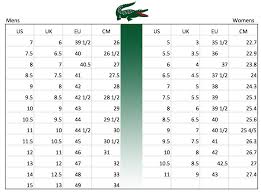 35 Rare Lacoste Shoe Size Guide