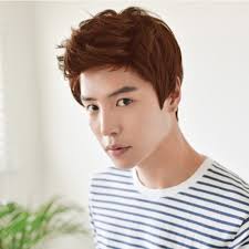 Mode Wig Pendek Untuk Pria Wig Pria Laki Laki Coklat Hitam Wig Keren Tampan Shopee Indonesia
