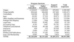 Understanding Nonprofit Financial Statements Statement Template Personal Financial Statement Financial Statement