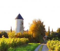 Elles sont un choix idéal pour les voyageurs qui s'intéressent à ces thèmes : Moulin Geant Cadre Insolite Vue Panoramique Sur A Rochefort Sur Loire