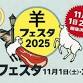 Sheep Festival 2025 at Nakano Antenna Street event image