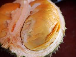 Maybe you would like to learn more about one of these? The Whole Black Thorn Durian Story Year Of The Durian