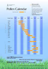 Ultimate Guide To Hay Fever