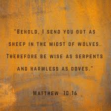 Be ye therefore wise as serpents, and harmless as doves. Danalou Ar Twitter Matthew 10 16 Kjv Behold I Send You Forth As Sheep In The Midst Of Wolves Be Ye Therefore Wise As Serpents And Harmless As Doves Jesus Jesussaves February Sundaythoughts