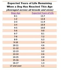 How Long Will Your Dog Live Psychology Today