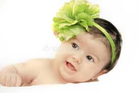 3,643,332 Fotos de Stock de Coloração Das Flores