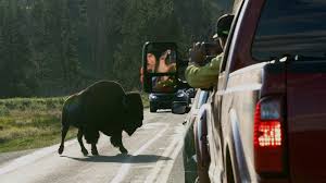 Yellowstone Eruption? Viral Videos Debunked! Here's the Truth!