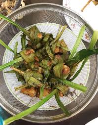 Pandan leaf plant will grow. How To Use Pandan Leaves In Cooking