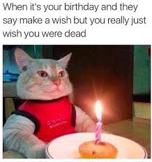 A birthday is like 24 hours of straight cheek pinching attention. 15 Sarcastic Birthday Memes For Anyone Who Hates The Fuss Memebase Funny Memes