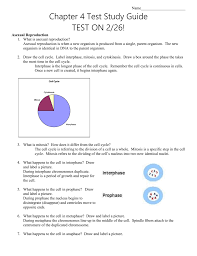 Easy drawing tips for beginners. Draw The Cell Cycle