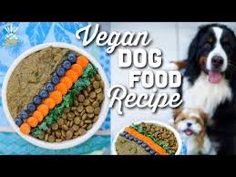 Hi, and welcome to the simple veganista where you'll find healthy, affordable, easy vegan recipes everyone will. Looking To Add A Boost Of Healthy Fresh Food To Your Pup S Diet Erin And Dusty From Eatmoverest Feed Their Pups A T Vegan Dog Food Dog Food Recipes Vegan Dog