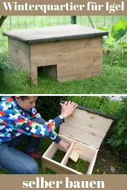 Damit sich möglichst wenig wasser in der behausung sammelt, den unterschlupf am besten. Pin Auf Igel Insekten Und Co