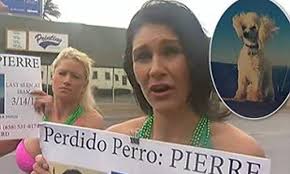 Women wear bikinis to find their lost dog in San Diego