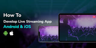 It's activated in the comments controls section of the app and will hide offensive comments. How To Develop A Live Video Streaming App For Android Ios By Liana Kailey Medium