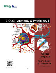 Click on the tags below to find other quizzes on the same subject. Bio23 F19 S20 Complete Course Guide By Human Anatomy Issuu
