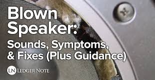 Here at audio express in richmond, va, we are the experts in the car audio and 12v electronics industry. Blown Speaker Sounds Symptoms Fixes Plus Guidance Ledgernote
