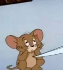 Resultado De Imagem Para Dank Tom And Jerry Memes Kartun Humor Lucu Animasi