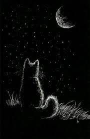 335 mond hd wallpapers und hintergrundbilder. 10 Cute Animals Drawings Tumblr Tier Wallpaper Katze Malen Illustration Katze