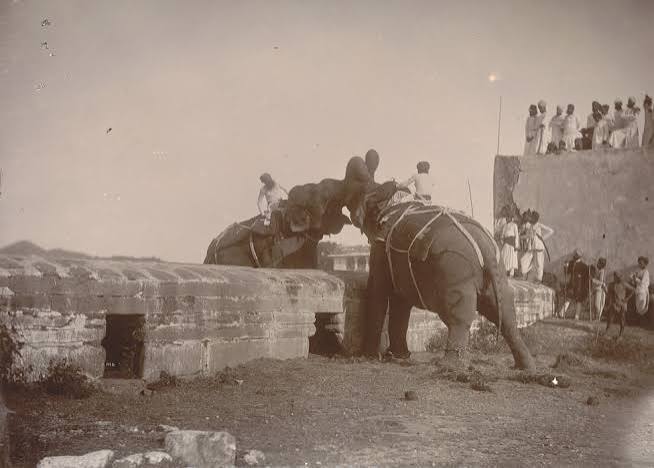 12-Elephant fight,Udaipur, 1885 CE, Collection & Copyrigh- British Library – VIRASAT – E – HIND FOUNDATION